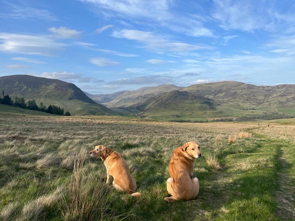Gulabin Lodge Glenshee Kültér fotó
