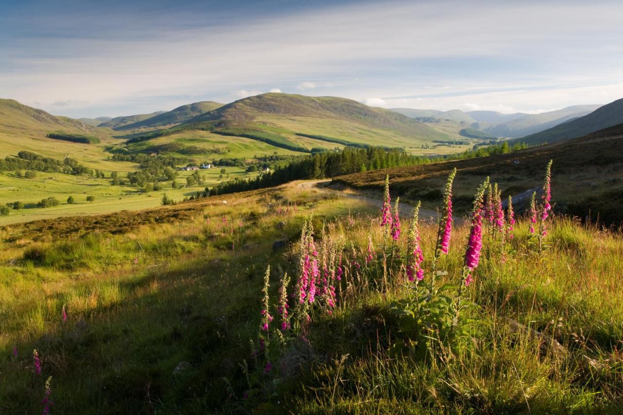 Gulabin Lodge Glenshee Kültér fotó